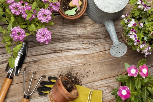 Website cookies and privacy settings for Tree Surgeons Goldersgreen