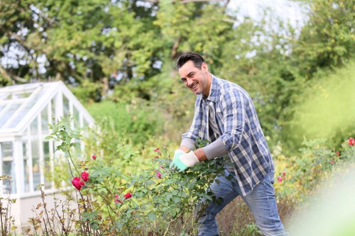 Healthy managed trees in a Golders Green residential garden