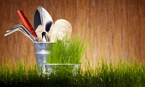 Professional tree surgery assessment in a residential garden