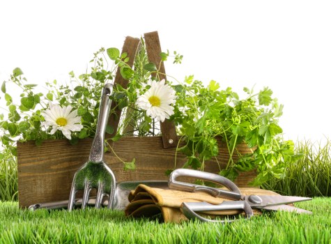 Booking and quotation process for tree surgery services in the UK